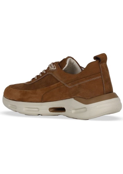 Taba Dante Baskılı Deri Erkek Günlük Ayakkabı 07MA29322526 07MA29322526 fırsatları