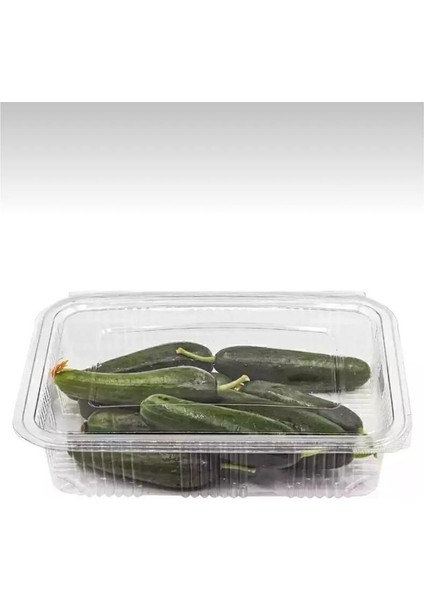 Turuncu, 1000 gr Sızdırmaz Kap, 25 Adet, Dayanıklı ve Pratik Kullanım Sağlar fiyatları