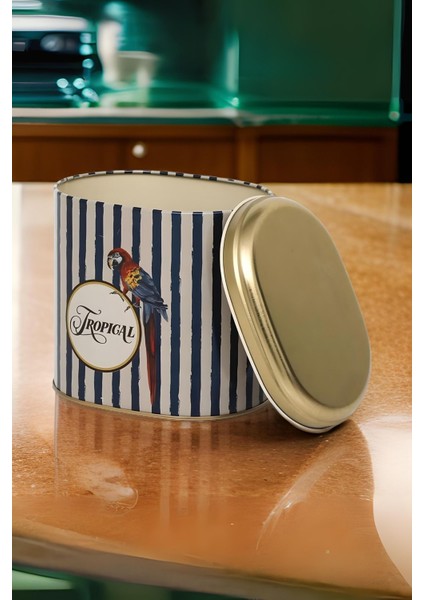 Çok Renkli Parrot Desenli Oval Metal Saklama Kabı 11X15 cm