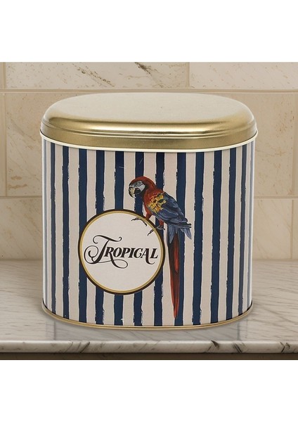 Çok Renkli Parrot Desenli Oval Metal Saklama Kabı 11X15 cm fiyatları