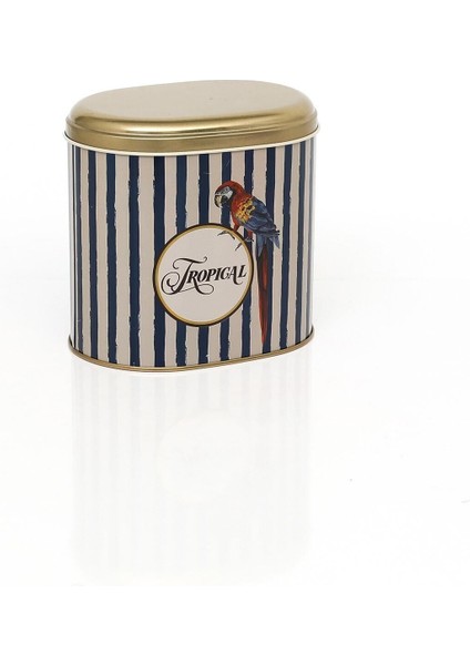 Çok Renkli Parrot Desenli Oval Metal Saklama Kabı 11X15 cm modelleri