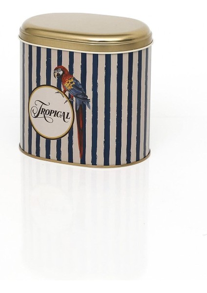 Çok Renkli Parrot Desenli Oval Metal Saklama Kabı 11X15 cm indirimleri
