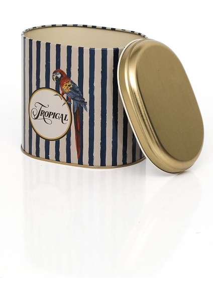 Çok Renkli Parrot Desenli Oval Metal Saklama Kabı 11X15 cm