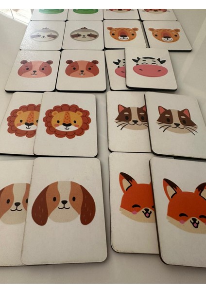 Zeka Kartları Eşleştirme Oyunu Hafıza Kartı Ahşap Eğitici Oyuncak