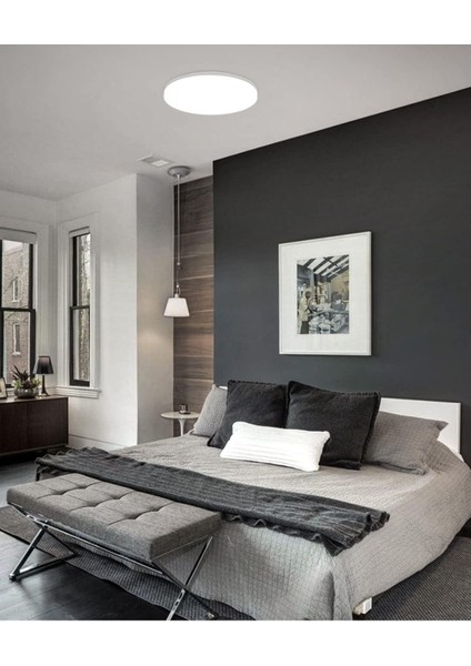 24W Tavan LED Avize 6500K Beyaz Işık, Bahçe, Balkon, Banyo Için Şık Aydınlatma. fiyatları