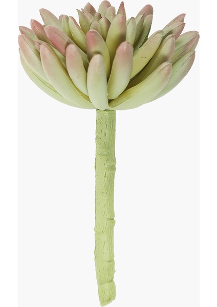 Sukulent Dal Yeşil-Kırmızı 13CM