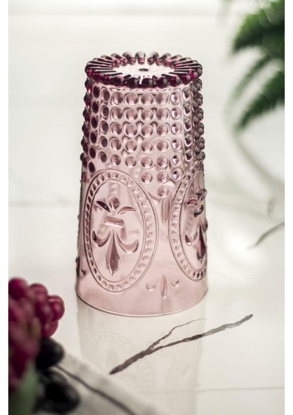 Akrilik Mürdüm 6'lı Uzun Bardak & Su Meşrubat Bardağı 750 ml ( Büyük Boy & Cam Değildir ) modelleri