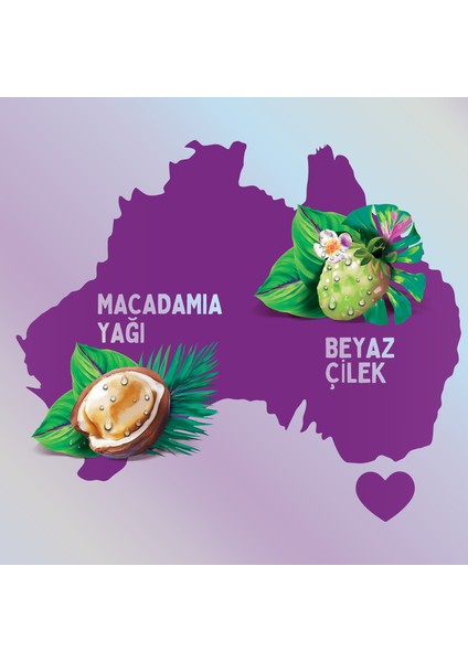 Sos Blonde & Hydrate Açık Renk Boyalı, Röfleli ve Gri Saçlar Için Mor Şampuan 500ML