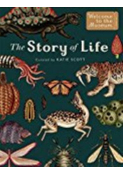 The Story Of Life Evolution - Fiona Munro
