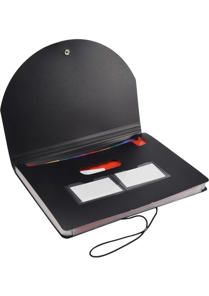 13 Cepli Genişleyen Dosya, File Çanta ve Renkli Etiketli, 13 Aylık Fatura Fiş Düzenleyici, A4 Boyutunda (Yurt Dışından) indirimleri