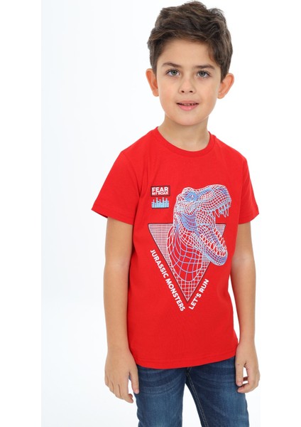 Erkek Çocuk Baskılı Tişört