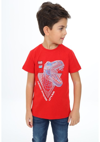 Erkek Çocuk Baskılı Tişört fiyatları