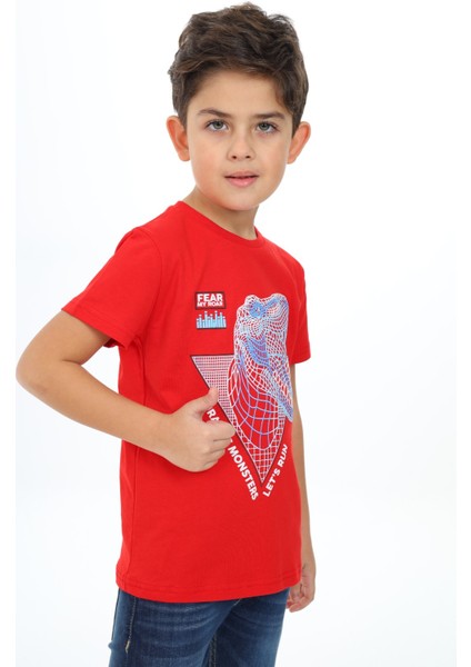 Erkek Çocuk Baskılı Tişört modelleri