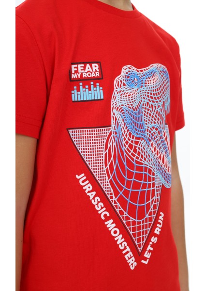 Erkek Çocuk Baskılı Tişört fırsatları