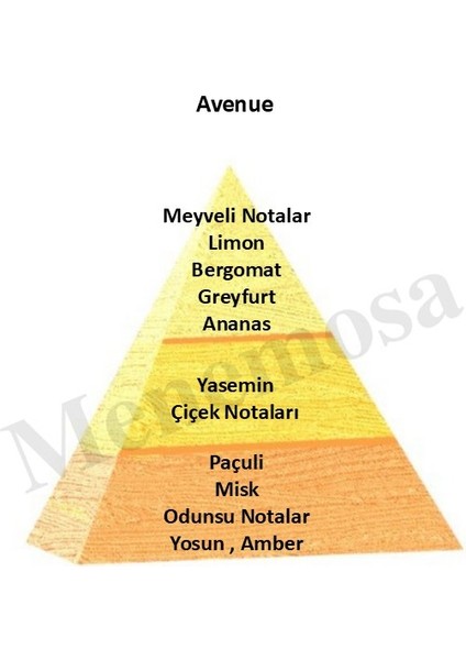 Avenue + No: 528 Erkek Parfüm 50 ml Edp Oriental / Fresh - MNMS50AVE528 fiyatları