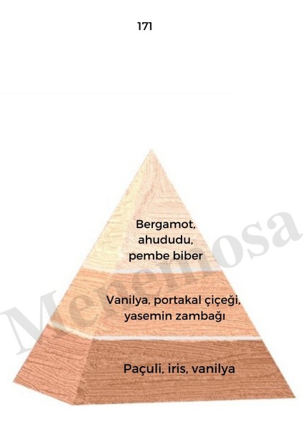 171 Kadın Parfüm Floral 50 ml Edp modelleri