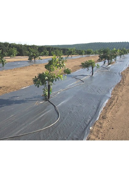 Abkplastik Siyah Peyzaj Taban Örtüsü 105CM modelleri