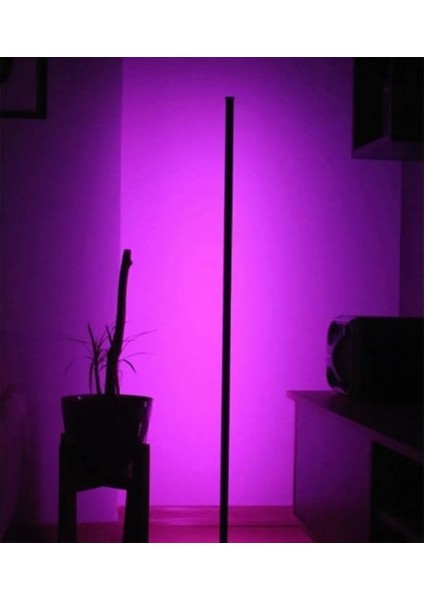 LED Rgb Ayaklı Lambader Kumandalı Lamba 1020
