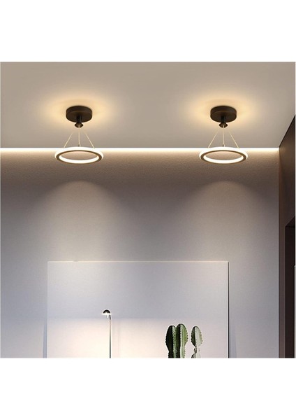 Modern Siyah Ledli Çift Taraflı Avize, Koridor ve Mutfak Için EC-2021 fiyatları