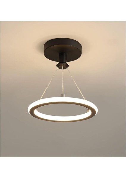 Modern Siyah Ledli Çift Taraflı Avize, Koridor ve Mutfak Için EC-2021 modelleri