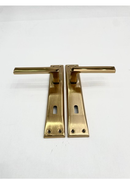 Aynalı Tam Alüminyum Oda Kapı Kolu - 1 Takım - No: 2 modelleri