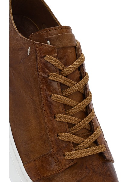 Erkek Taba Bağcıklı Kalın Tabanlı Deri Sneaker 25SFD688326