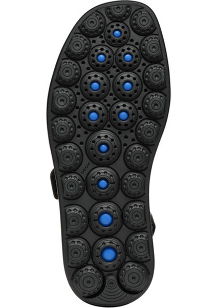 Kadın Siyah D Spherica Ec4.1 S A - Nappa Bantlı Deri Sandalet D55D4B00085C9999