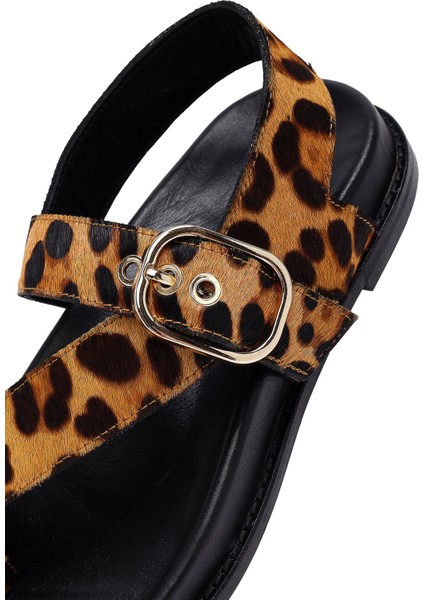 Kadın Leopar Parmak Arası Deri Sandalet 25SFD5513W2