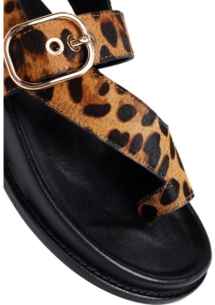 Kadın Leopar Parmak Arası Deri Sandalet 25SFD5513W2