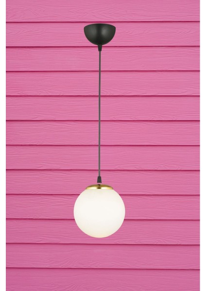 Şık Siyah ve Beyaz Glop Top Camlı Düz Aşağı Sarkıt Avize fiyatları