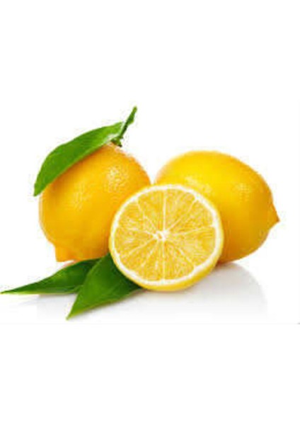 250 Adet Limon Çayı Bonesi, Doğal Bitki Destekli Sağlıklı Seçenek fiyatları