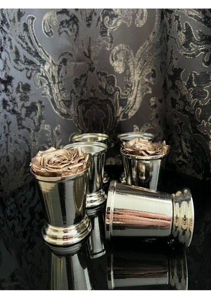 Şık Gümüş Sunumluk Gül Kovası, Zarif ve Kullanışlı Dekoratif Aksesuar