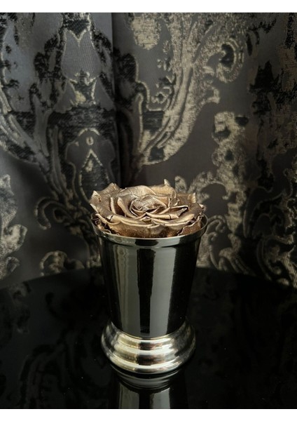 Şık Gümüş Sunumluk Gül Kovası, Zarif ve Kullanışlı Dekoratif Aksesuar fiyatları
