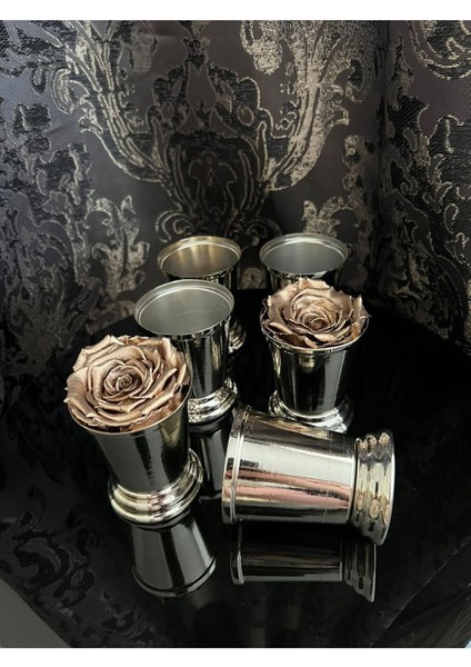 Şık Gümüş Sunumluk Gül Kovası, Zarif ve Kullanışlı Dekoratif Aksesuar modelleri