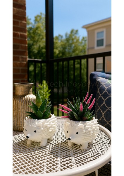 Kirpi Figürü Sukulent & Kaktüs Saksı 2'li Dekoratif Kirpi Saksı Seti