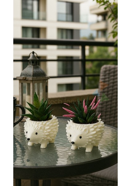 Kirpi Figürü Sukulent & Kaktüs Saksı 2'li Dekoratif Kirpi Saksı Seti fiyatları