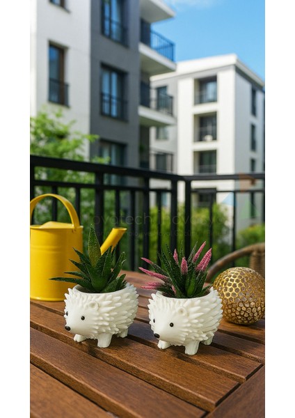 Kirpi Figürü Sukulent & Kaktüs Saksı 2'li Dekoratif Kirpi Saksı Seti modelleri