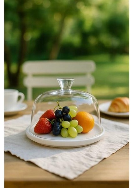 Porselen Cam Fanus fiyatları