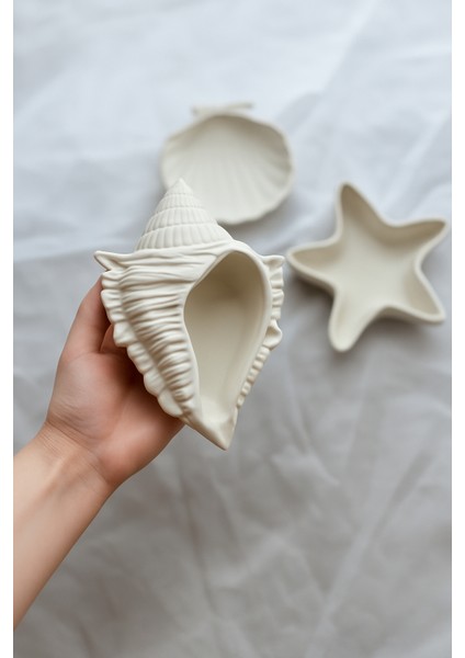 3’lü Deniz Kabuk Tasarım Seramik Takı ve Dekoratif Tabak Seti Deniz Kabuk Modeli