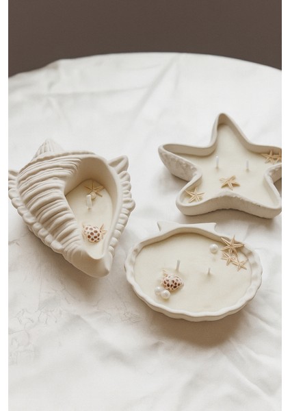 3’lü Deniz Kabuk Tasarım Seramik Takı ve Dekoratif Tabak Seti Deniz Kabuk Modeli