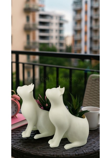 Kedi Figürlü Sukulent & Kaktüs Saksı 2'li Dekoratif Kirpi Saksı Seti