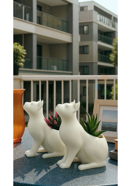 Kedi Figürlü Sukulent & Kaktüs Saksı 2'li Dekoratif Kirpi Saksı Seti fiyatları