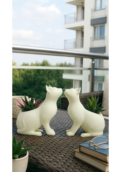 Kedi Figürlü Sukulent & Kaktüs Saksı 2'li Dekoratif Kirpi Saksı Seti modelleri