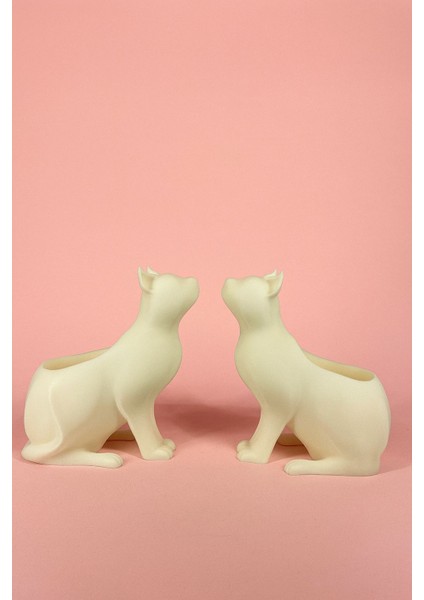 Kedi Figürlü Sukulent & Kaktüs Saksı 2'li Dekoratif Kirpi Saksı Seti indirimleri