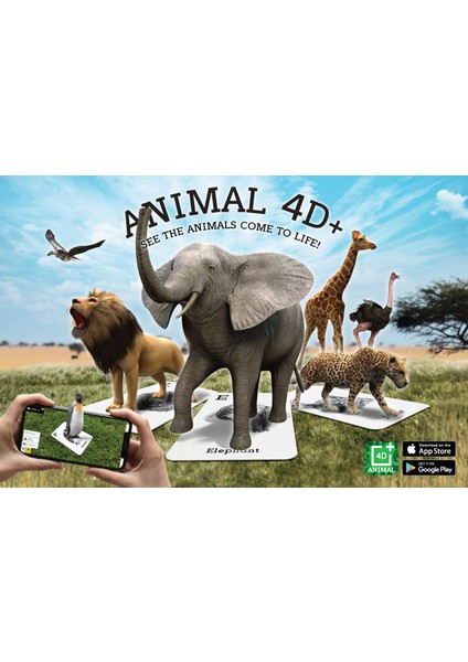 Fun4Edu Animals 4d+ Arttırılmış/Sanal Gerçeklik Kartları Octagon Studio Hayvanlar Serisi - İngilizce Alfabe Öğreniyorum