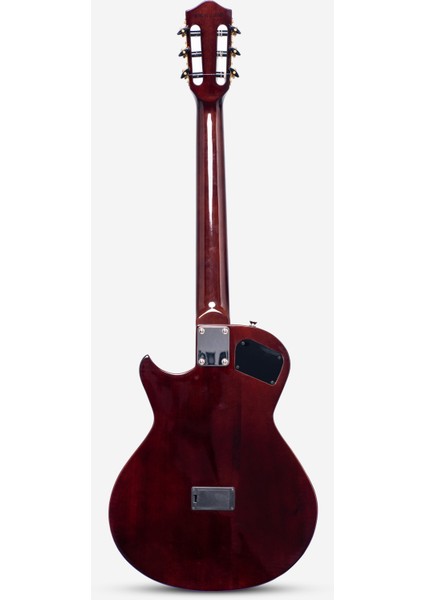 Elektro Klasik Gitar Le-C2 Cs fiyatları