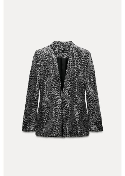 Allbucks Zara, Payetli Pullu Parlak Yakasız Blazer Ceket ABZRA1000 indirimleri
