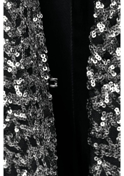 Allbucks Zara, Payetli Pullu Parlak Yakasız Blazer Ceket ABZRA1000