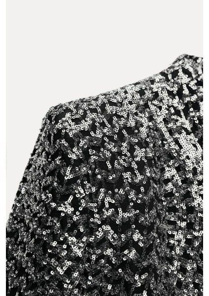 Allbucks Zara, Payetli Pullu Parlak Yakasız Blazer Ceket ABZRA1000