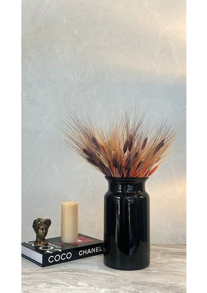 Büyük Boy Siyah Renkli Pampas Cam Vazo, Saksı, Çiçeklik fiyatları